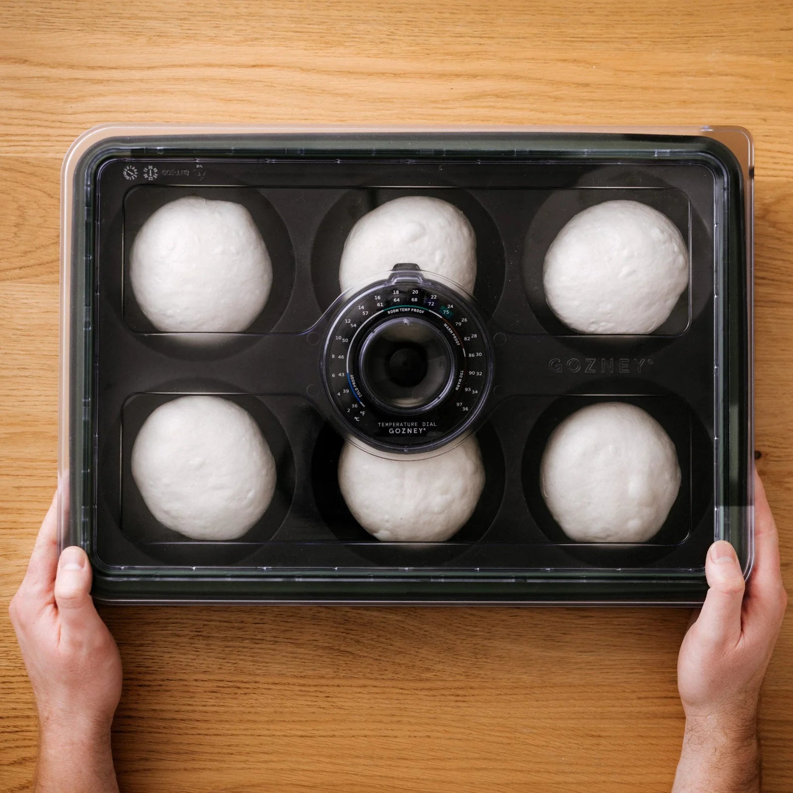 Person holding a black container with six white spherical objects on a wooden surface